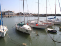 IMG_3150.jpg
