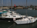IMG_3155.jpg