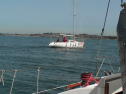 SANY0041.jpg