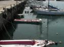 SANY0046.jpg