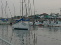 P1020998.jpg