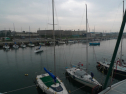 P1030011.jpg