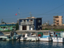 P1030190.jpg