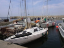 RIMG0128.jpg