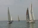 RIMG0140.jpg