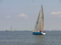 RIMG0146.jpg