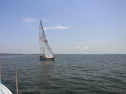 RIMG0163.jpg