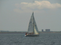 RIMG0178.jpg