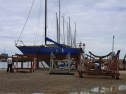 RIMG0027.jpg
