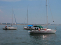 IMG_9353.jpg
