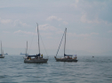 IMG_9367.jpg