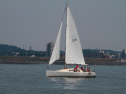 IMG_9393.jpg