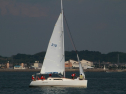 IMG_9466.jpg