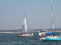 IMG_9473.jpg