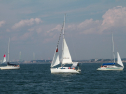 IMG_9474.jpg