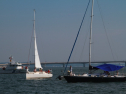 IMG_9483.jpg