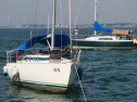 IMG_9486.jpg