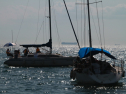 IMG_9493.jpg