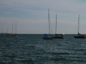 IMG_9500.jpg