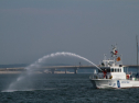 IMG_9516.jpg