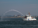 IMG_9518.jpg