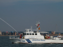 IMG_9524.jpg
