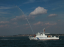 IMG_9528.jpg