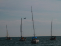 IMG_9534.jpg