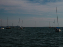 IMG_9535.jpg