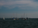 IMG_9536.jpg