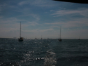 IMG_9540.jpg