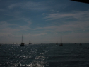 IMG_9543.jpg