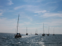 IMG_9561.jpg