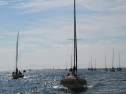 IMG_9576.jpg