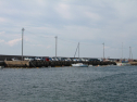IMG_9579.jpg