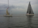 RIMG0359.jpg