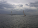 RIMG0389.jpg