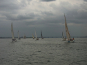 RIMG0390.jpg