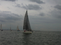 RIMG0391.jpg