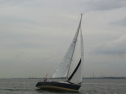 RIMG0397.jpg