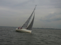 RIMG0409.jpg
