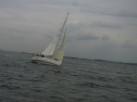 RIMG0410.jpg