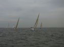 RIMG0411.jpg