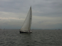 RIMG0414.jpg