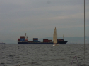 RIMG0352.jpg