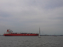 RIMG0373.jpg