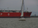 RIMG0374.jpg