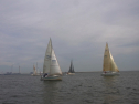 RIMG0377.jpg