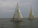 RIMG0378.jpg