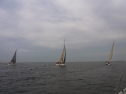 RIMG0380.jpg